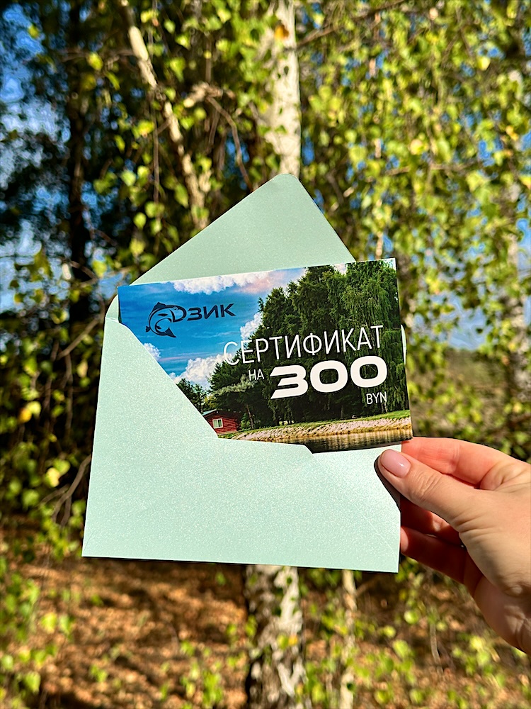 Подарочный сертификат базы отдыха «Дзик» на 300 рублей