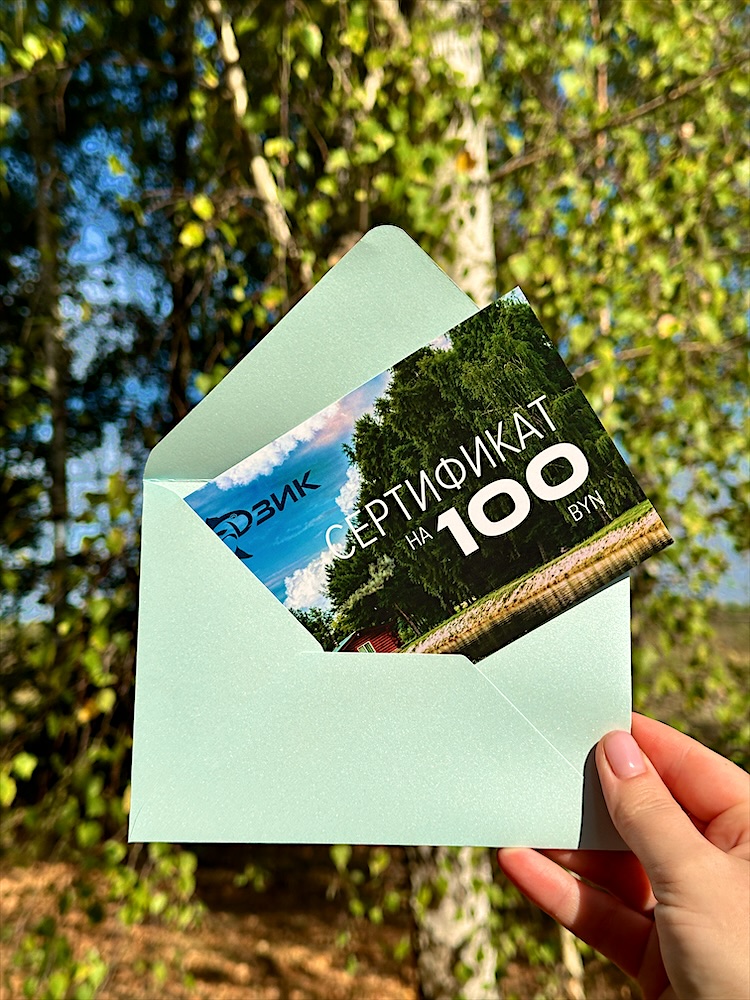 Подарочный сертификат базы отдыха «Дзик» на 100 рублей