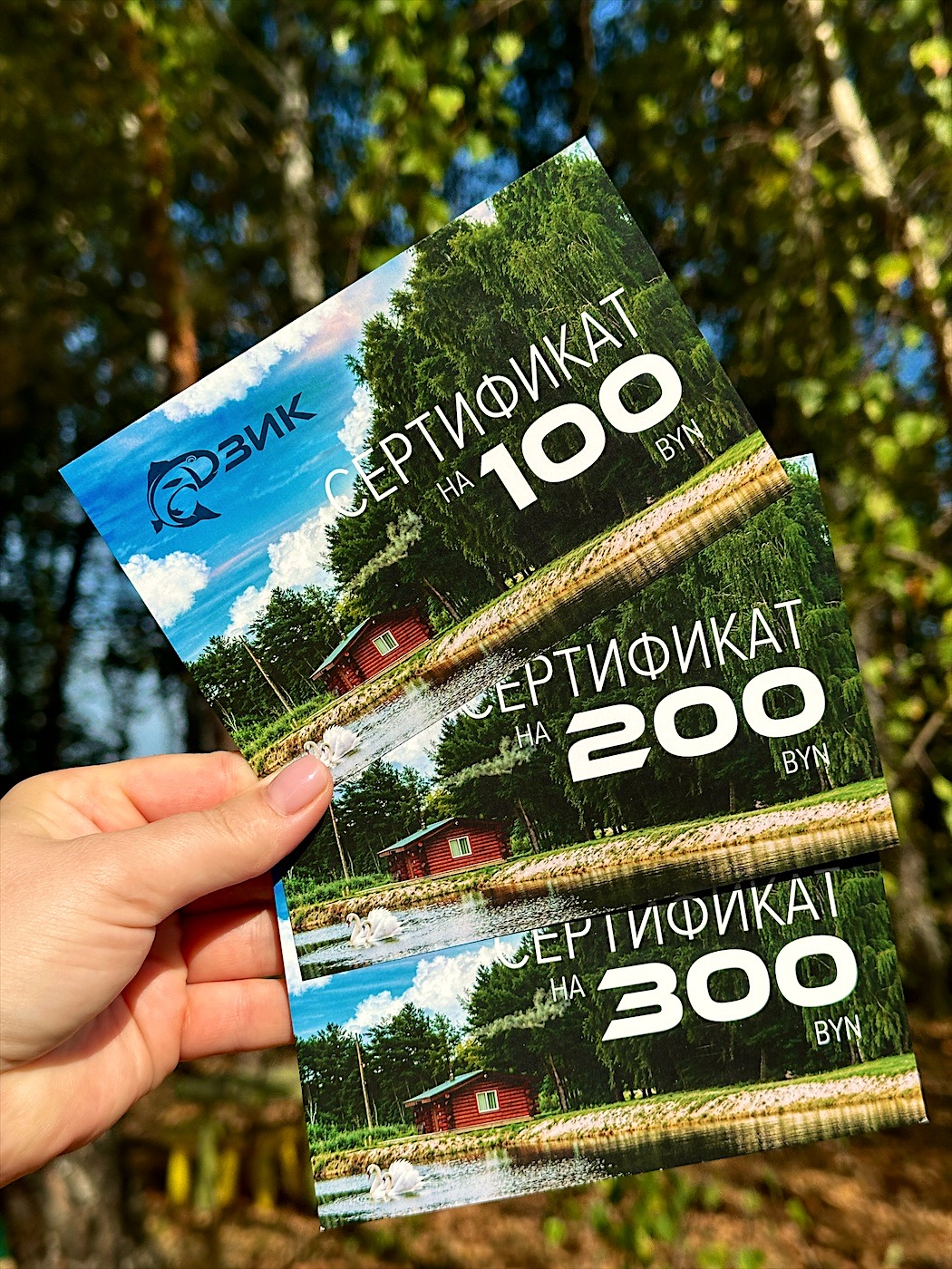 Подарочные сертификаты базы отдыха «Дзик» на 100, 200 и 300 рублей