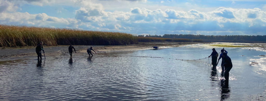 baza-1.jpg baza-1.jpg